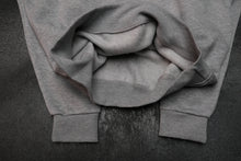 Load image into Gallery viewer, BALBUS HALF-ZIP NECK — ASH GREY